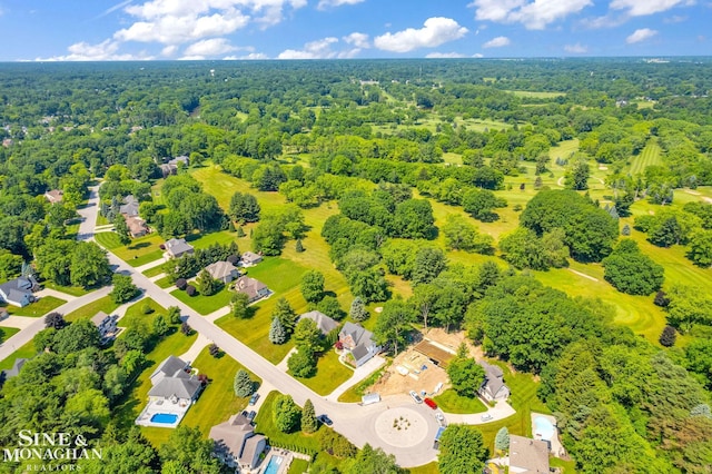3325 Saint Andrews Dr, Port Huron, MI 48060 - aerial view of a forest