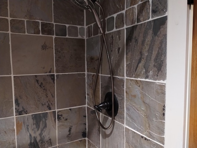 11374 S Shore Dr, Lake, MI 48632 - bathroom view of tiled shower