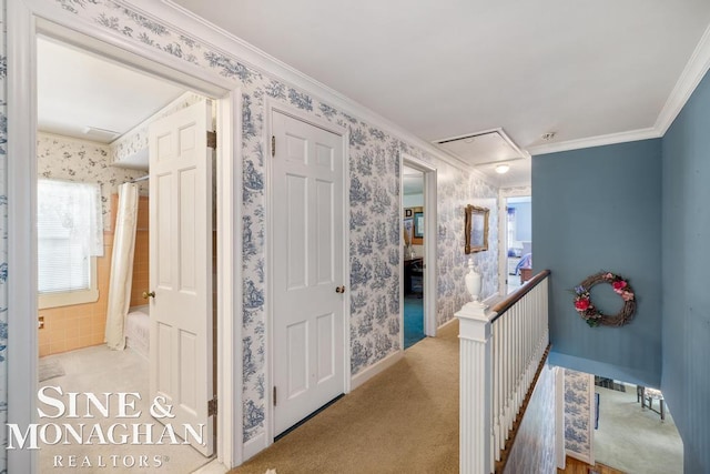 28 Hampton Rd, Grosse Pointe Shores, MI 48236 - corridor with attic access, an upstairs landing, ornamental molding, wallpapered walls, and carpet flooring