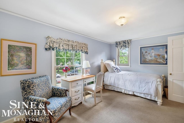 28 Hampton Rd, Grosse Pointe Shores, MI 48236 - bedroom featuring ornamental molding and carpet floors