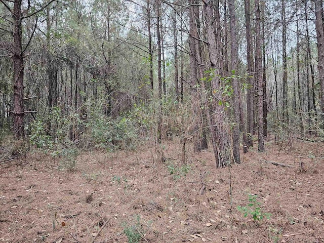 Listing photo 3 for 895 County Road 715, Buna TX 77612