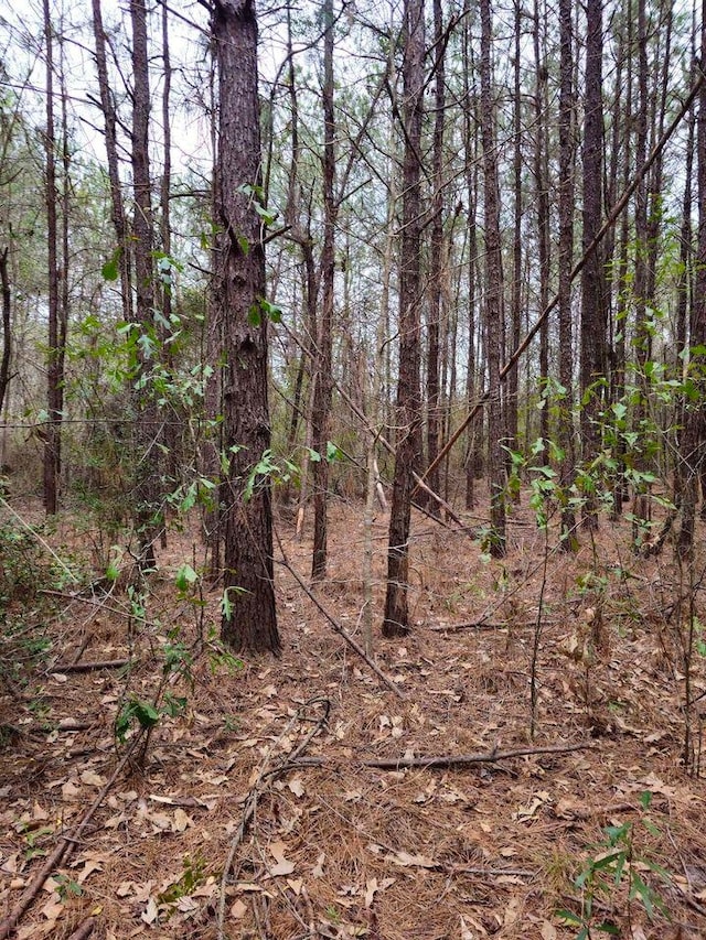 895 County Road 715, Buna TX, 77612 land for sale