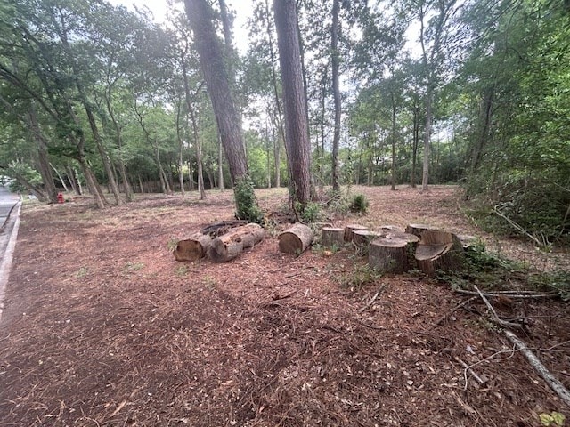871 Rainbow Dr, Center, TX 75935 - photo 5