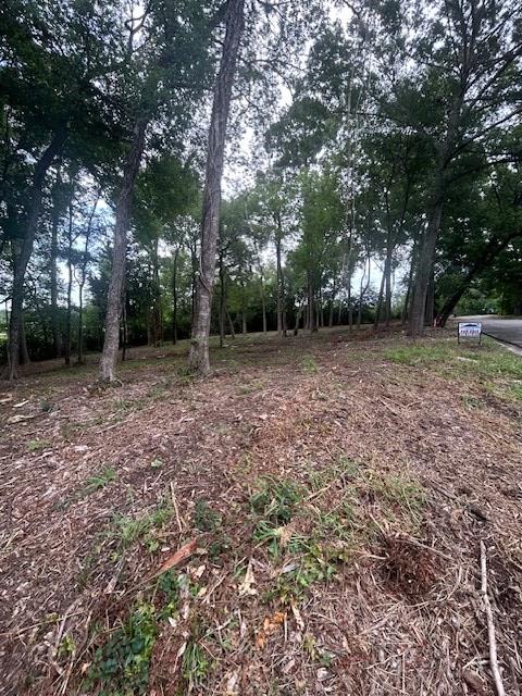 871 Rainbow Dr, Center, TX 75935 - photo 3