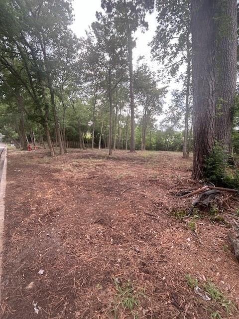 871 Rainbow Dr, Center, TX 75935 - photo 6