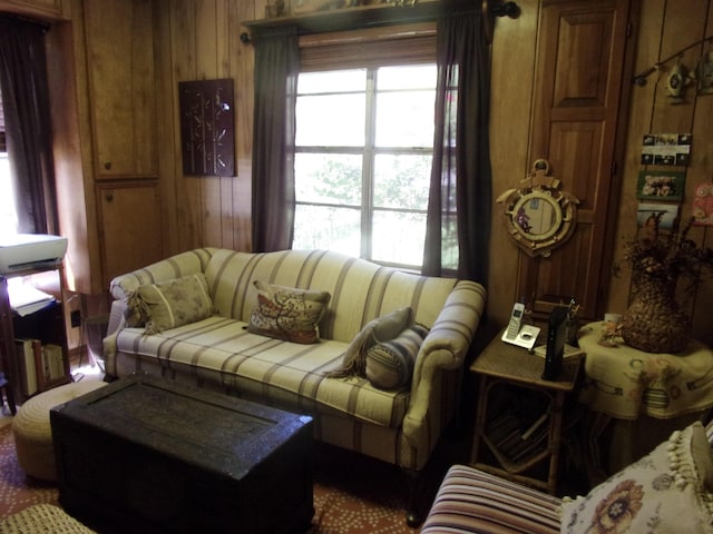 living room with wooden walls