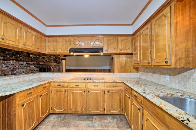 kitchen with black electric cooktop, crown molding, extractor fan, and tasteful backsplash