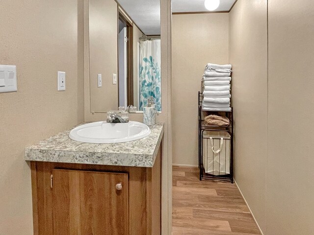 228 Blue Jay Dr, Brookeland, TX 75931 - bathroom featuring baseboards, wood finished floors, and vanity