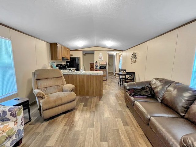 228 Blue Jay Dr, Brookeland, TX 75931 - living area featuring light wood finished floors, lofted ceiling, a decorative wall, and a textured ceiling