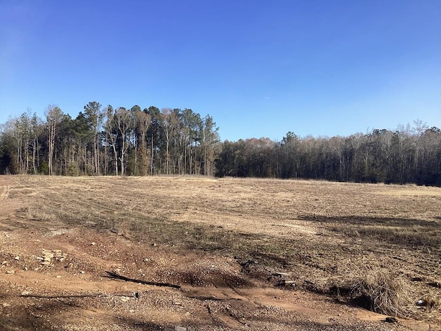 R018395 E Shaw Guy, Kirbyville TX, 75956 land for sale