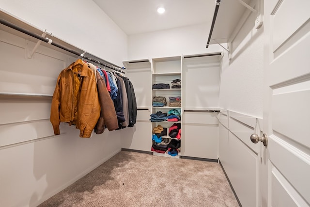 spacious closet featuring carpet flooring