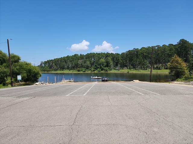 162 Pinehurst Dr, Brookeland, TX 75931 - photo 6