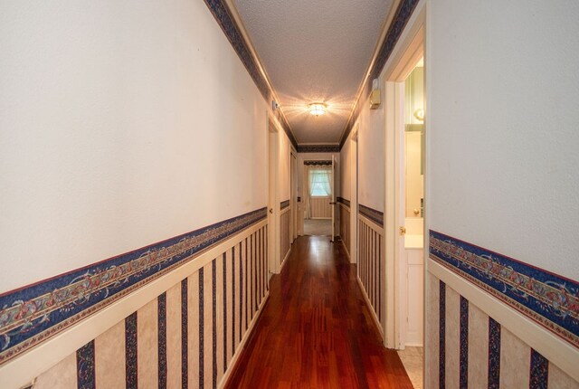 corridor with dark hardwood / wood-style floors, ornamental molding, and a textured ceiling