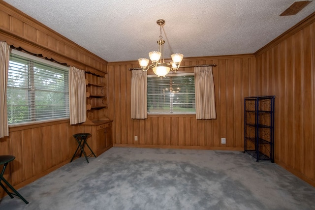 carpeted spare room with a wealth of natural light and wood walls