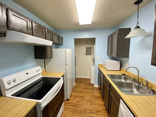 kitchen featuring sink, hanging light fixtures, white appliances, dark brown cabinets, and light wood-type flooring