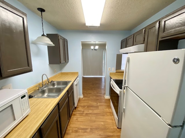 kitchen featuring sink, a notable chandelier, decorative light fixtures, white appliances, and light wood-type flooring