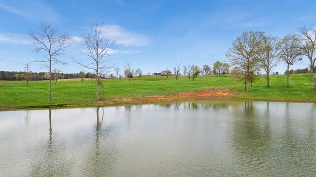 13687 County Road 4188, Henderson, TX 75654 - photo 6