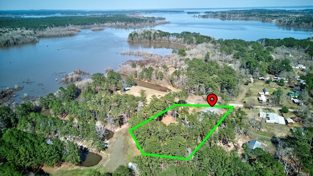 birds eye view of property with a water view and a view of trees