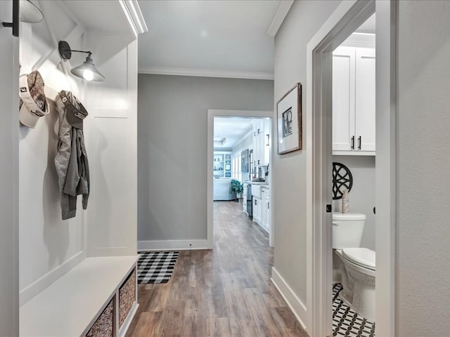 mudroom featuring crown molding and hardwood / wood-style flooring