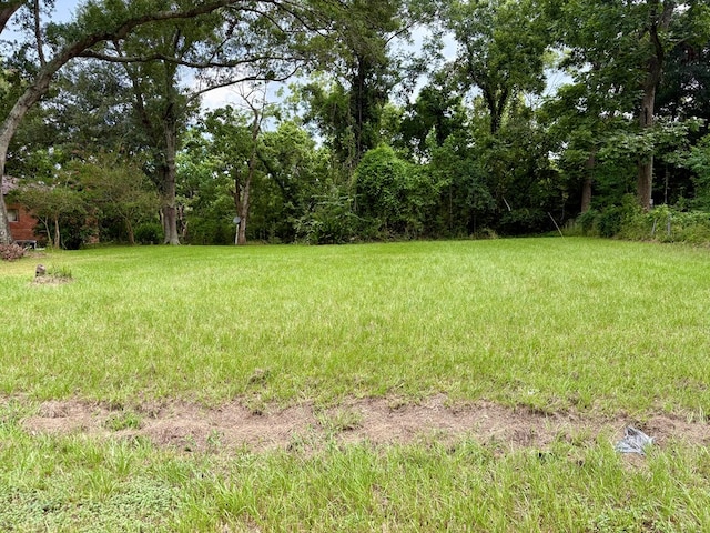 1014 River Rd, Goodrich, TX 77335 - photo 8