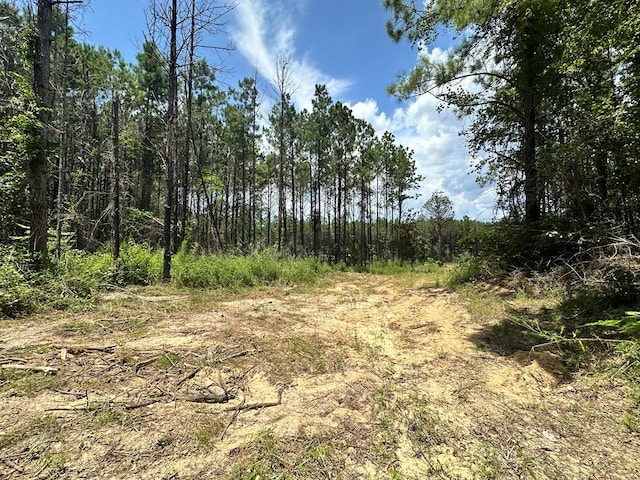 380171 County Road 4210, Woodville, TX 75979
