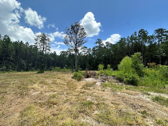 380171 County Road 4210, Woodville, TX 75979