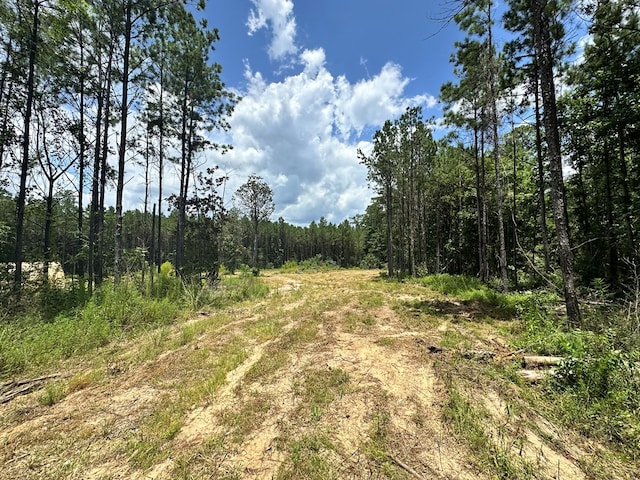 380171 County Road 4210, Woodville, TX 75979