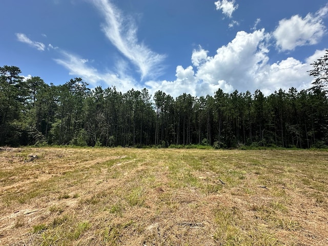 380171 County Road 4210, Woodville, TX 75979
