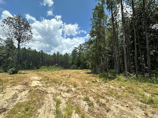380171 County Road 4210, Woodville, TX 75979