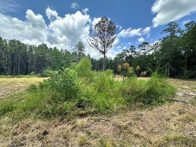 380171 County Road 4210, Woodville, TX 75979