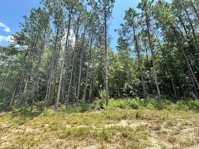 380171 County Road 4210, Woodville, TX 75979