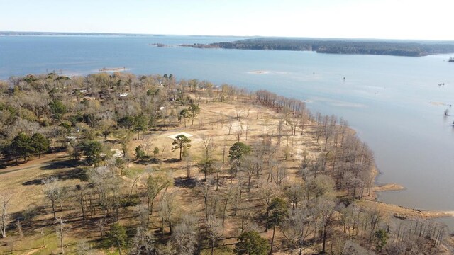 390TRACTS1-3 Bragg Dr, Hemphill, TX 75959 - photo 1