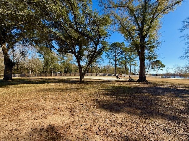 390TRACTS1-3 Bragg Dr, Hemphill, TX 75959 - photo 4