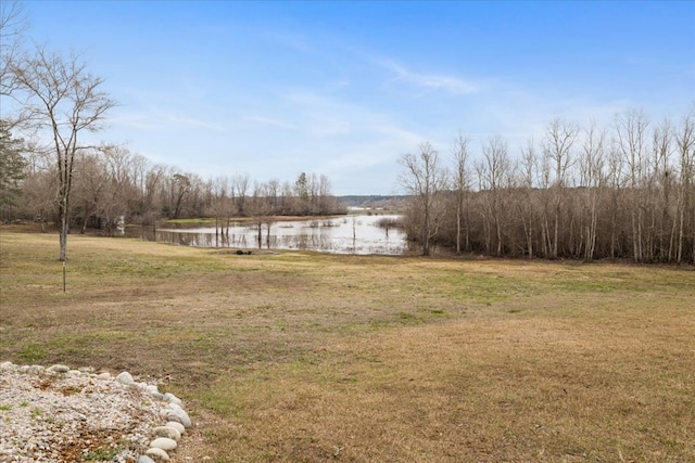 view of yard with a water view