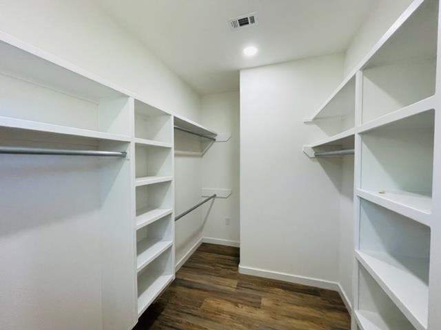 walk in closet featuring dark wood-type flooring