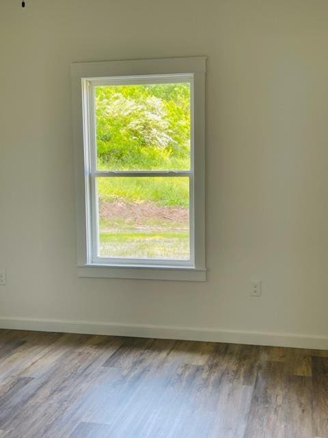 empty room with hardwood / wood-style flooring