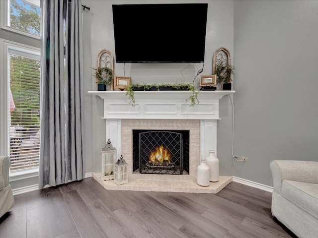 living area with wood-type flooring