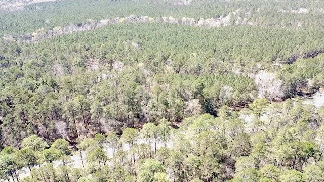 1 Fm 2262, Apple Springs, TX 75926 - photo 3