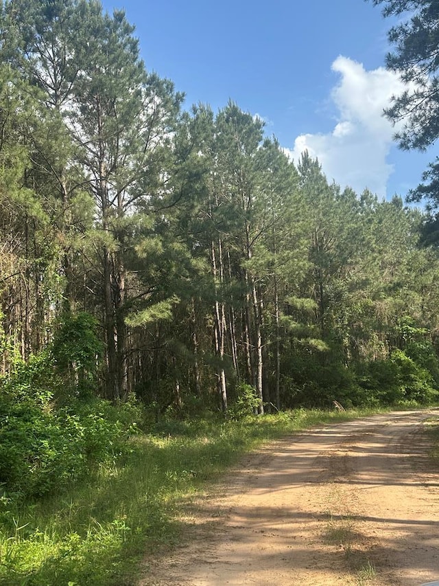 1 Fm 2262, Apple Springs, TX 75926 - photo 7