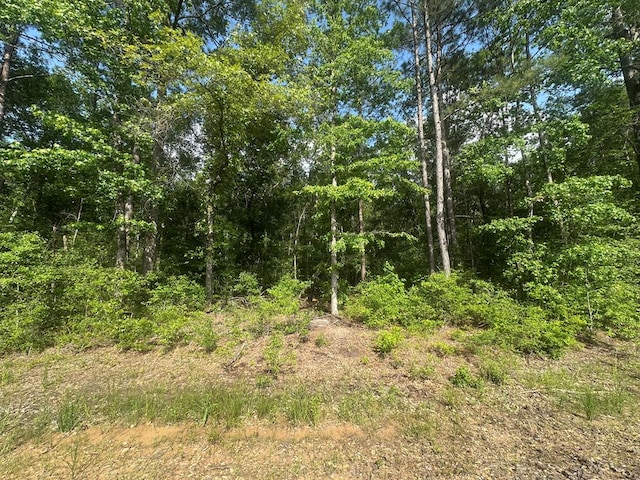 1 Fm 2262, Apple Springs, TX 75926 - photo 9
