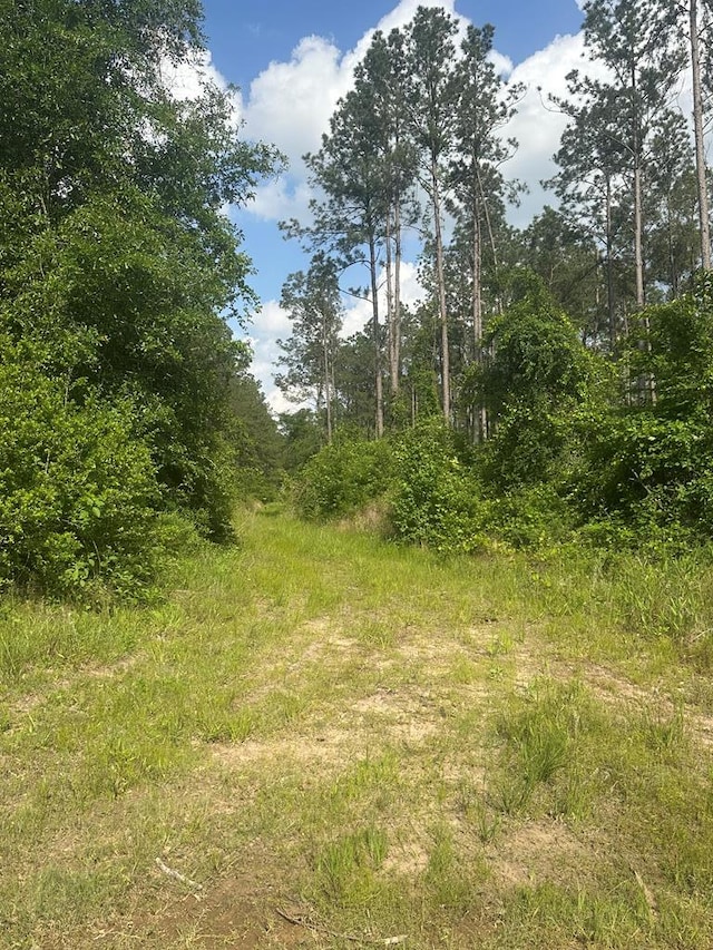 1 Fm 2262, Apple Springs, TX 75926 - photo 11
