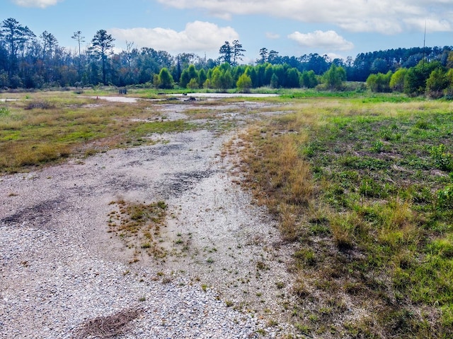 10599 Fm 363, Newton, TX 75966 - photo 7