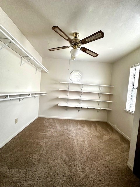 3619 Homer Alto Rd, Lufkin, TX 75904 - photo 21