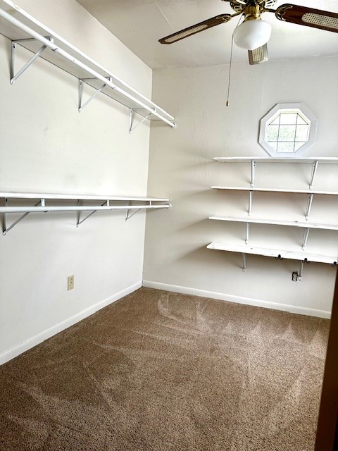 3619 Homer Alto Rd, Lufkin, TX 75904 - photo 20