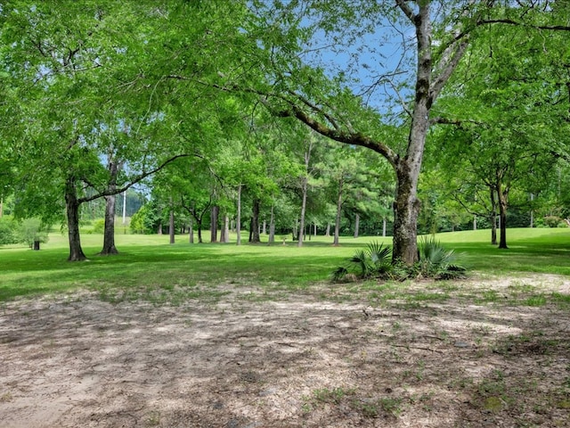 2104 Brentwood Dr, Lufkin, TX 75901 - surrounding community with a yard