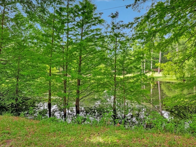 2104 Brentwood Dr, Lufkin, TX 75901 - view of woods