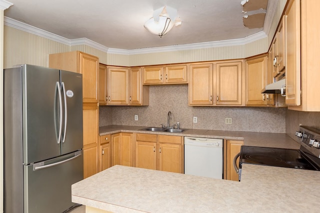 1407 Fairchild Dr, Diboll, TX 75941 - kitchen featuring appliances with stainless steel finishes, ornamental molding, a peninsula, tasteful backsplash, and under cabinet range hood