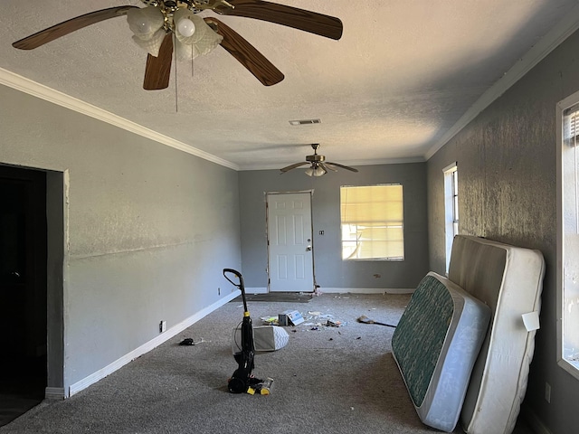 interior space with crown molding, carpet floors, and a textured ceiling