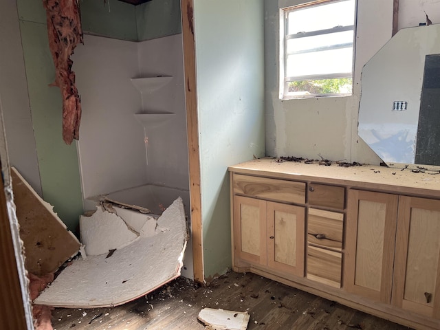 bathroom featuring wood-type flooring