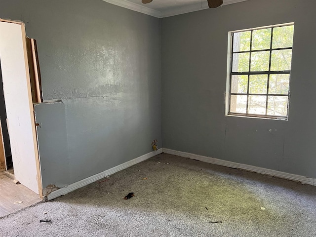 carpeted empty room featuring ceiling fan and ornamental molding